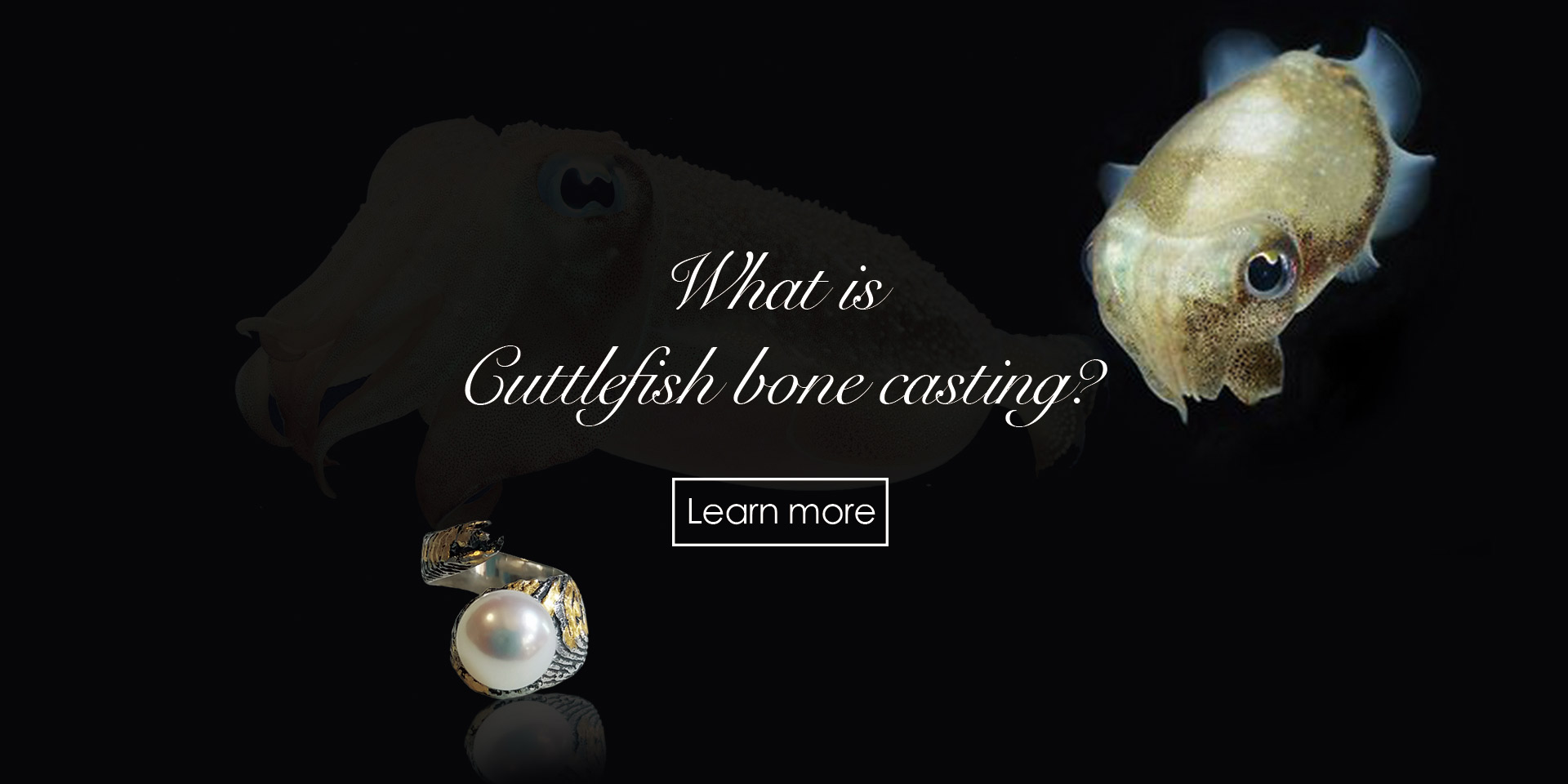 Cuttlefish-Banner001
